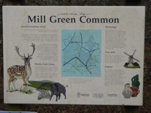 Mill Green Common
