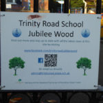 Trinity Road School - Jubilee Wood